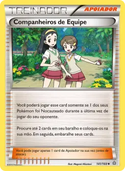 Companheiros de Equipe